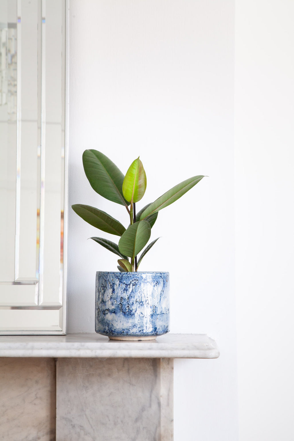 files/IndoorPlants_2-JamieShots20.11.2023-102.jpg